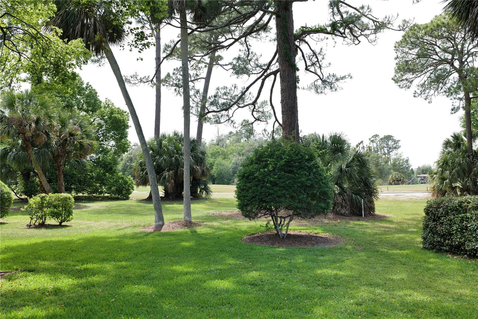 15 COLE PL, PALM COAST, FL, 32137