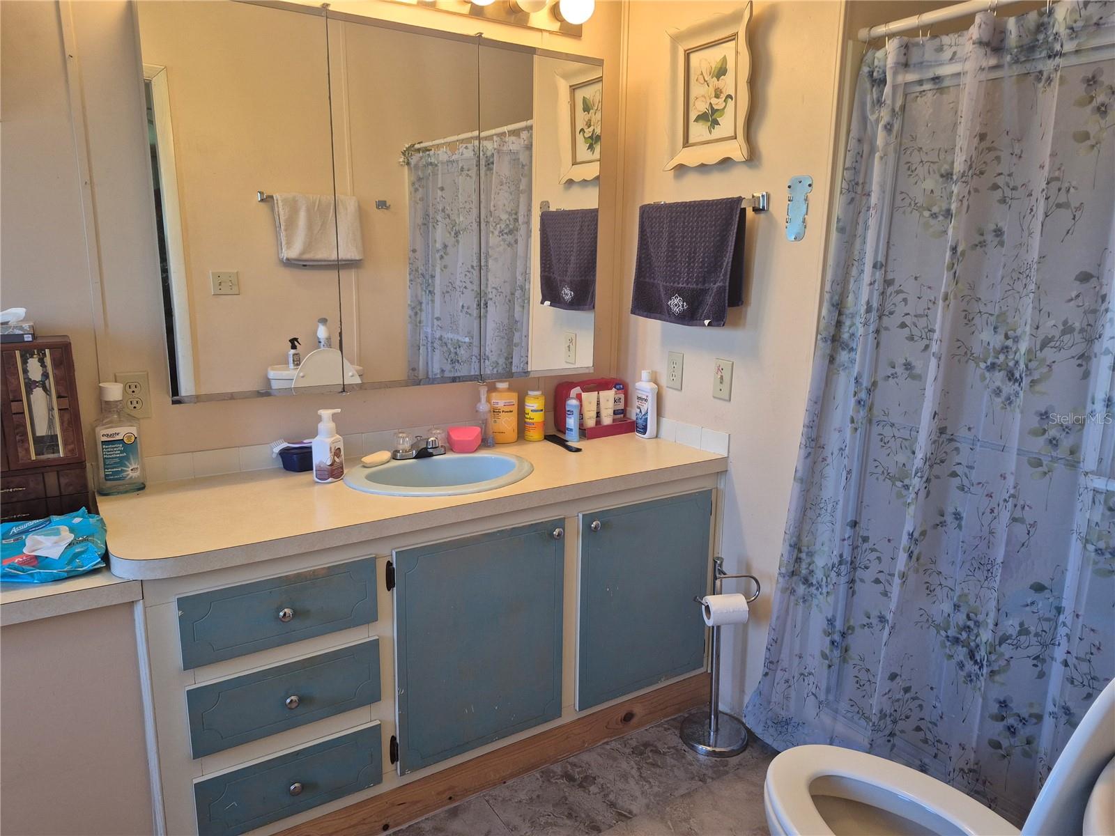 3021 MYAKKA RIVER RD, TAVARES, FL, 32778