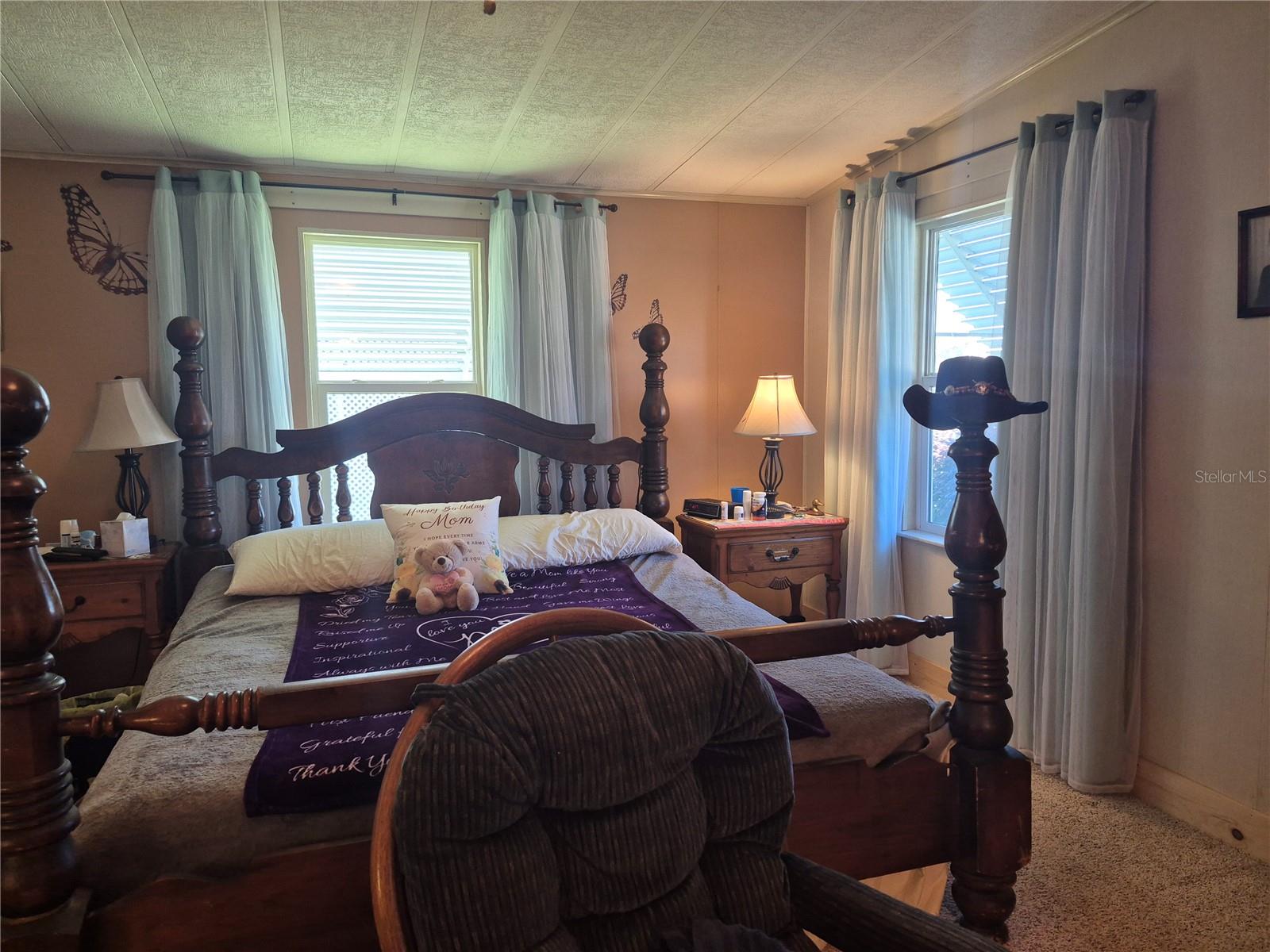 3021 MYAKKA RIVER RD, TAVARES, FL, 32778