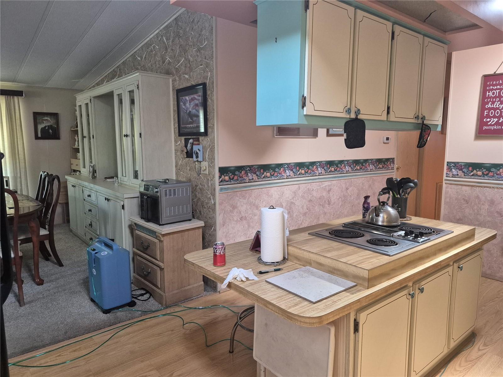 3021 MYAKKA RIVER RD, TAVARES, FL, 32778