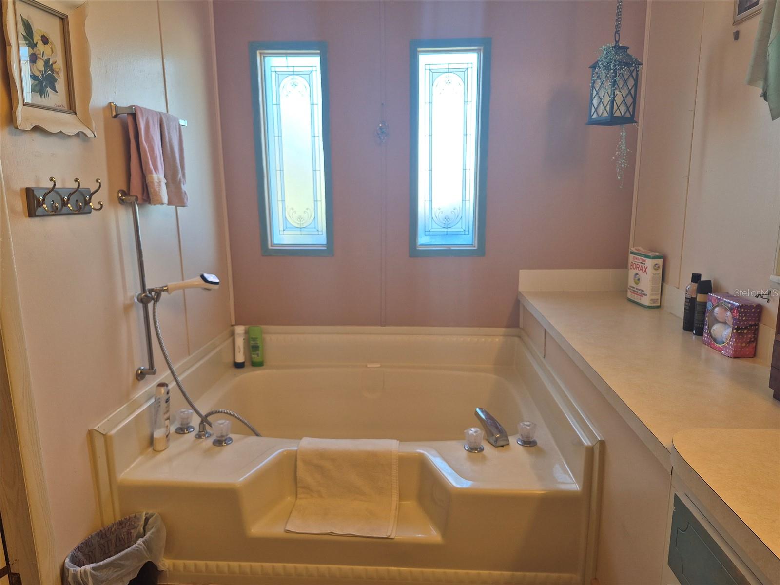 3021 MYAKKA RIVER RD, TAVARES, FL, 32778