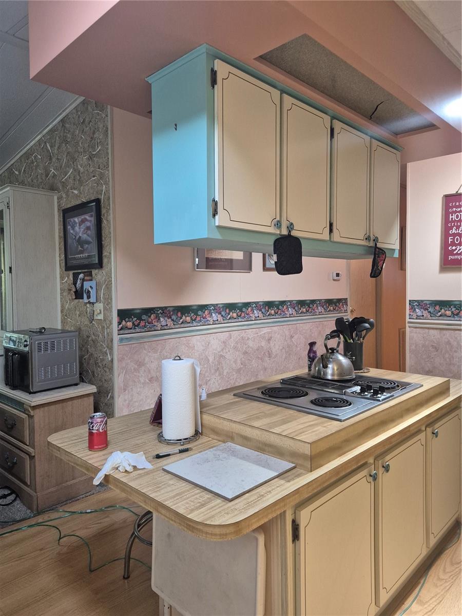 3021 MYAKKA RIVER RD, TAVARES, FL, 32778