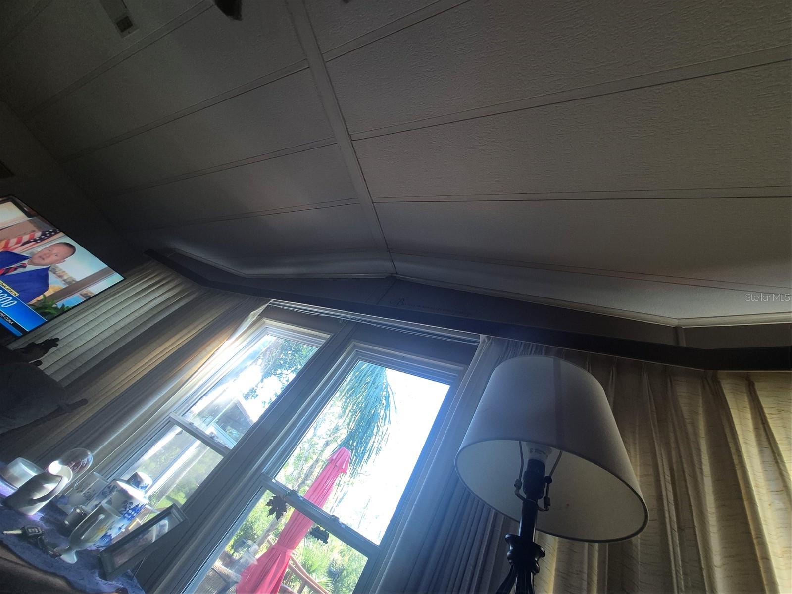 3021 MYAKKA RIVER RD, TAVARES, FL, 32778