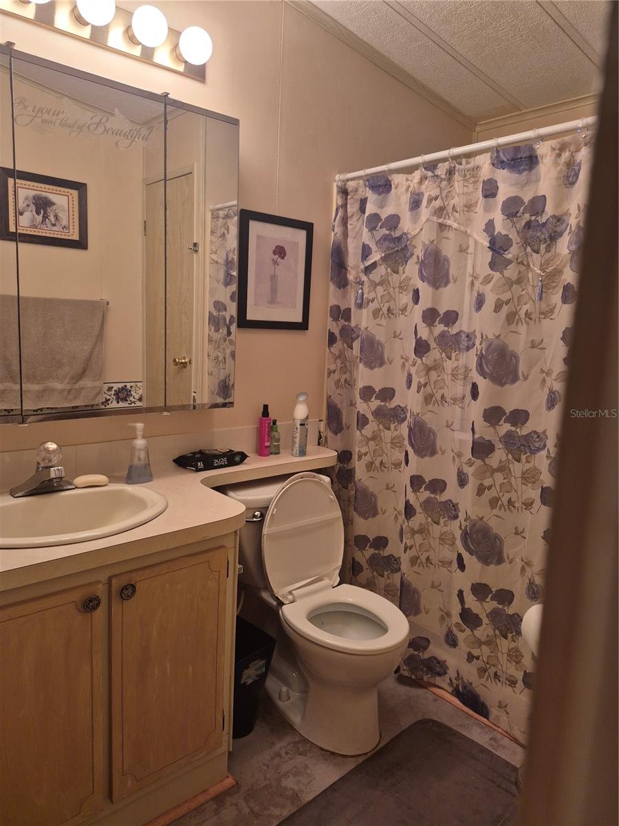 3021 MYAKKA RIVER RD, TAVARES, FL, 32778