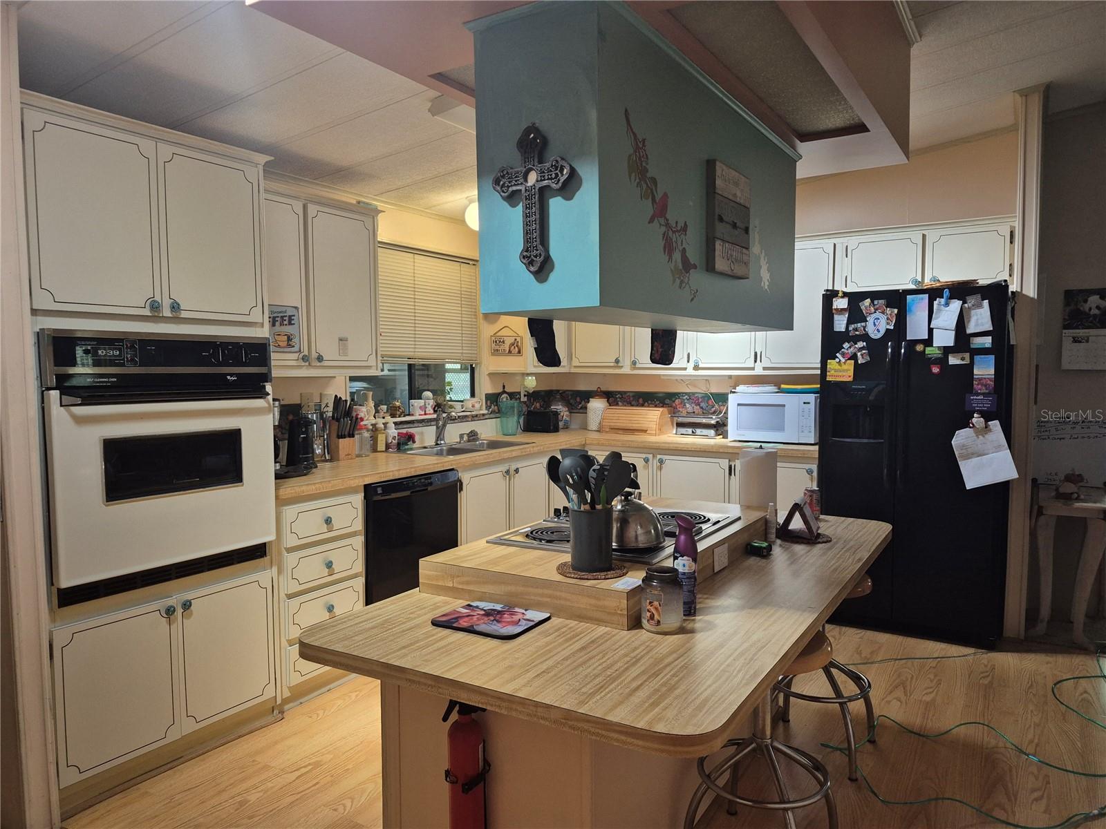 3021 MYAKKA RIVER RD, TAVARES, FL, 32778