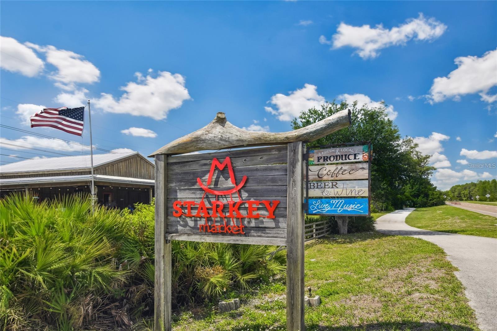 13803 STANSIL AVE, ODESSA, FL, 33556