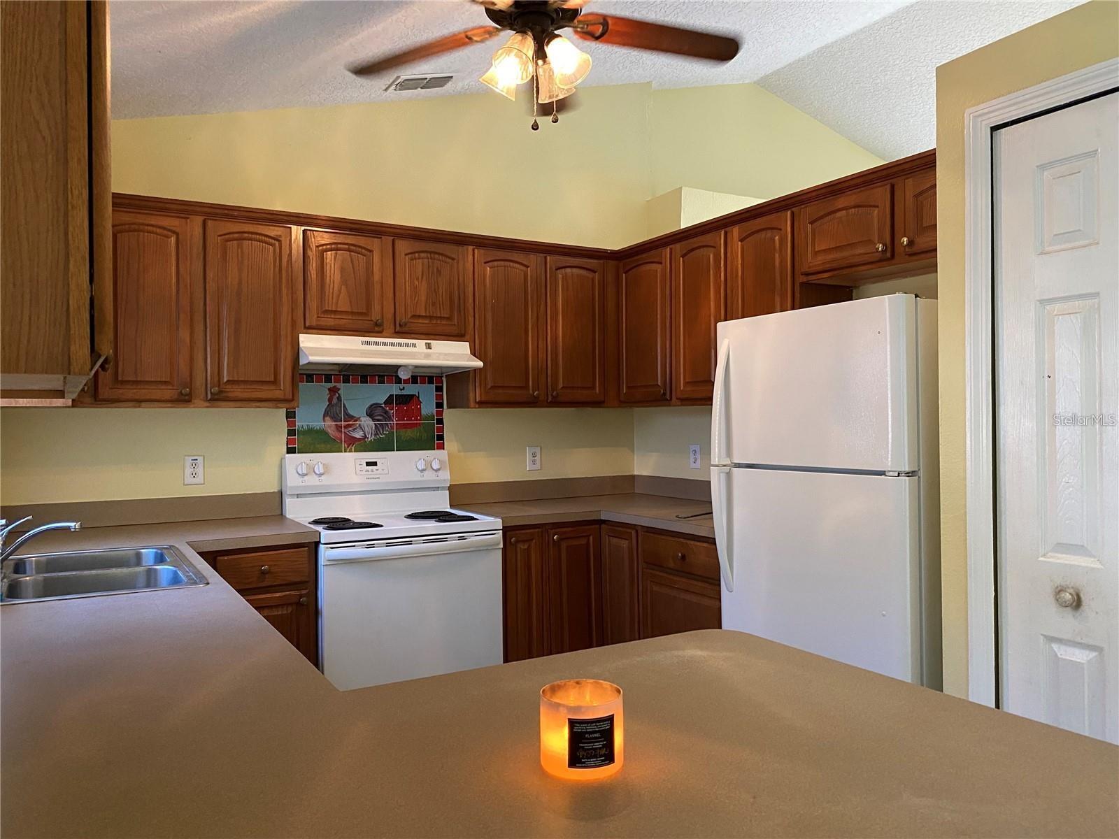 620 CHESTNUT AVE, ORANGE CITY, FL, 32763