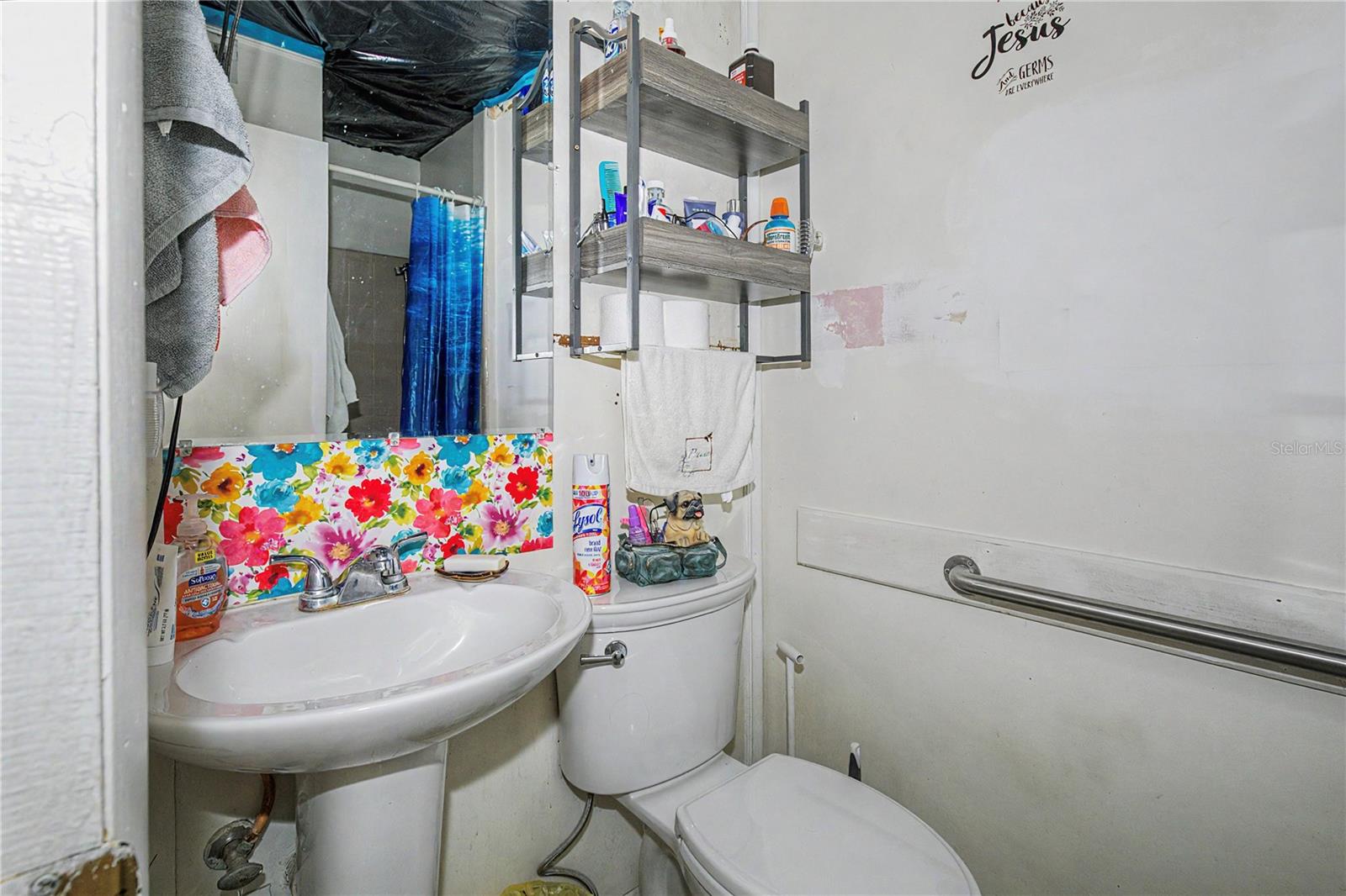 19036 NW 246TH ST, HIGH SPRINGS, FL, 32643