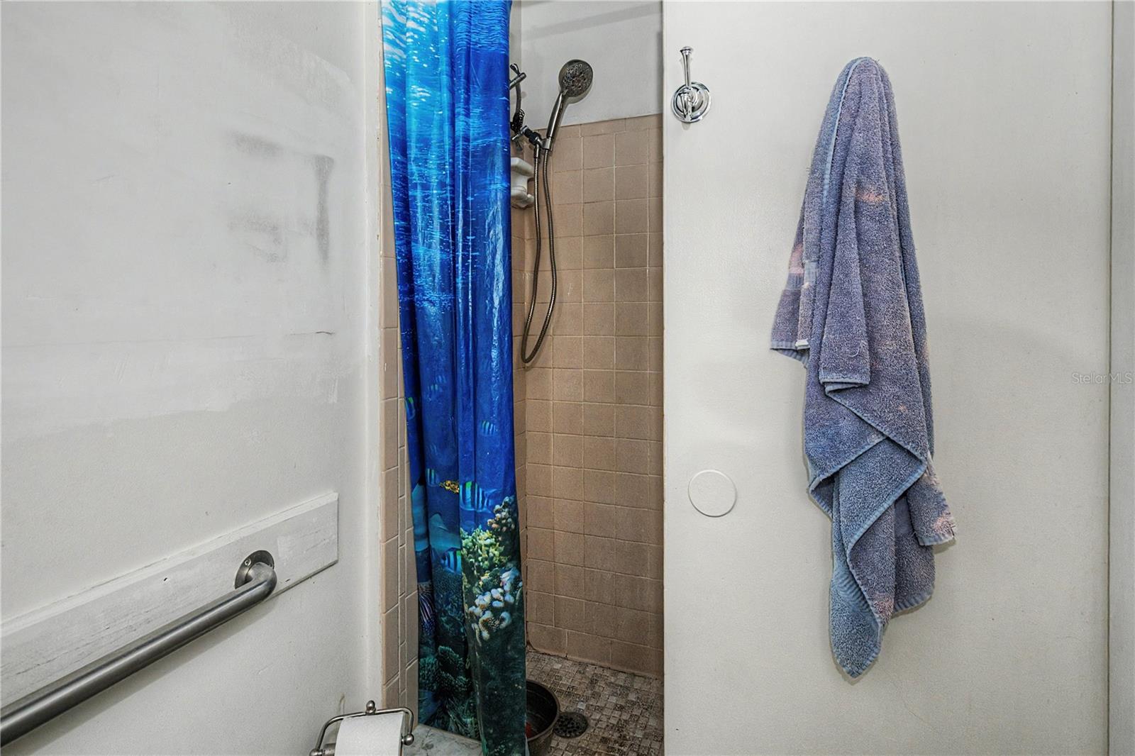 19036 NW 246TH ST, HIGH SPRINGS, FL, 32643