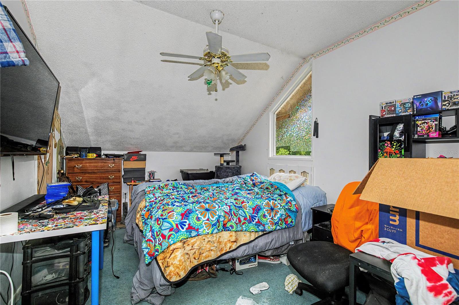 19036 NW 246TH ST, HIGH SPRINGS, FL, 32643