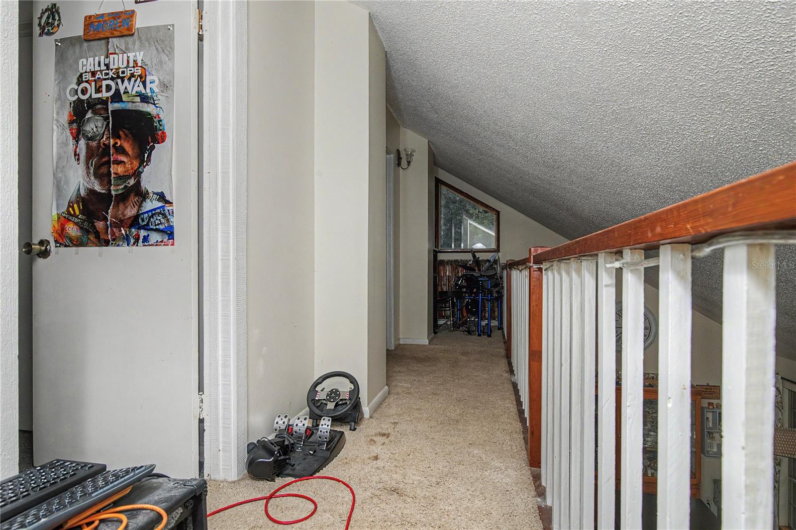 19036 NW 246TH ST, HIGH SPRINGS, FL, 32643