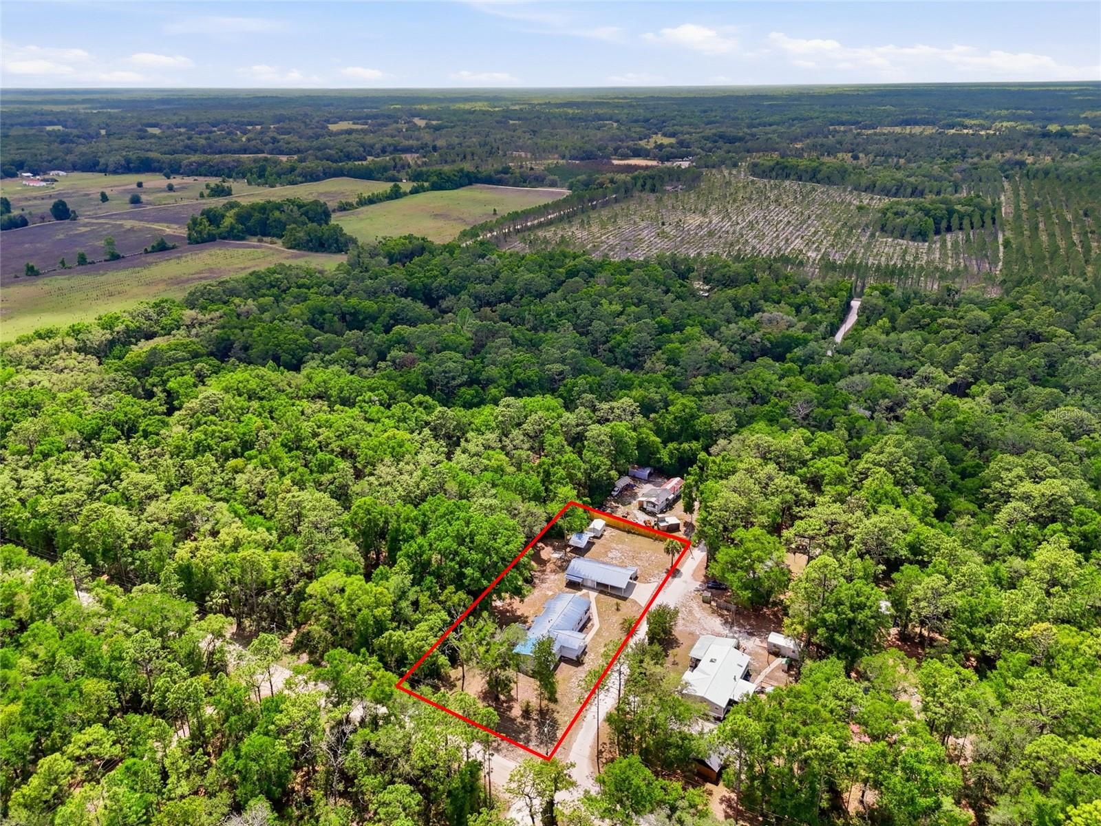 9764 NW 56TH LN, CHIEFLAND, FL, 32626