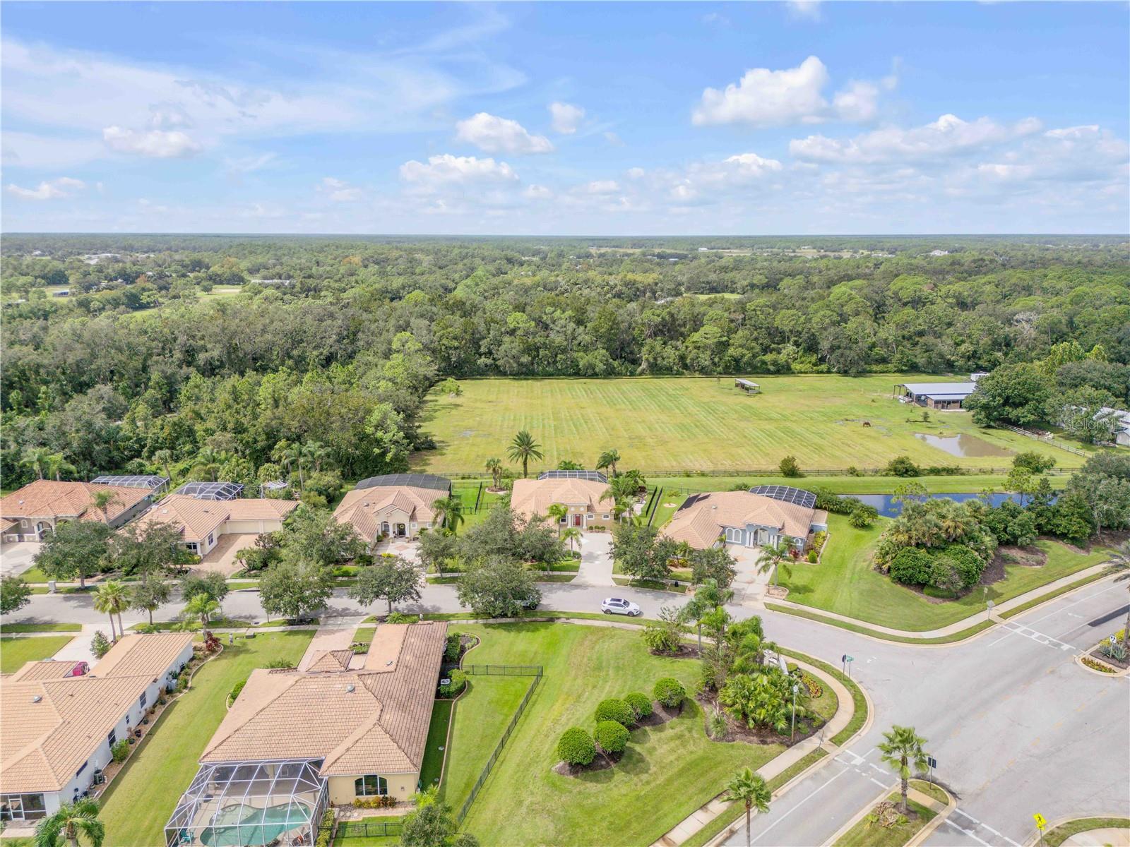 3604 MARIBELLA DR, NEW SMYRNA BEACH, FL, 32168