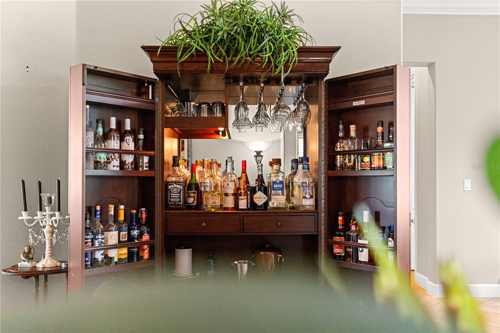 9280 SE 126TH ST, SUMMERFIELD, FL, 34491