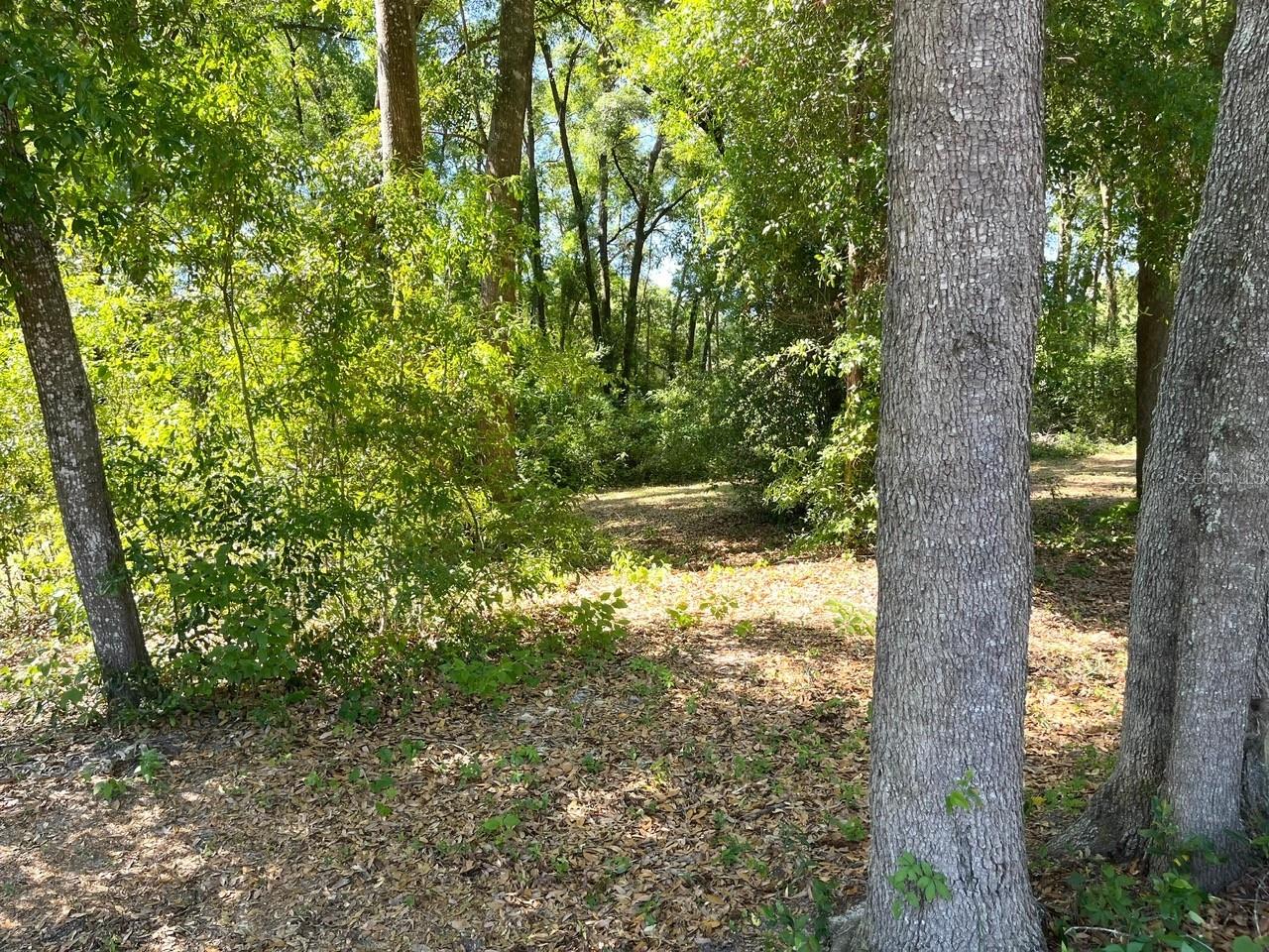 0000 NW 183RD LN, HIGH SPRINGS, FL, 32643