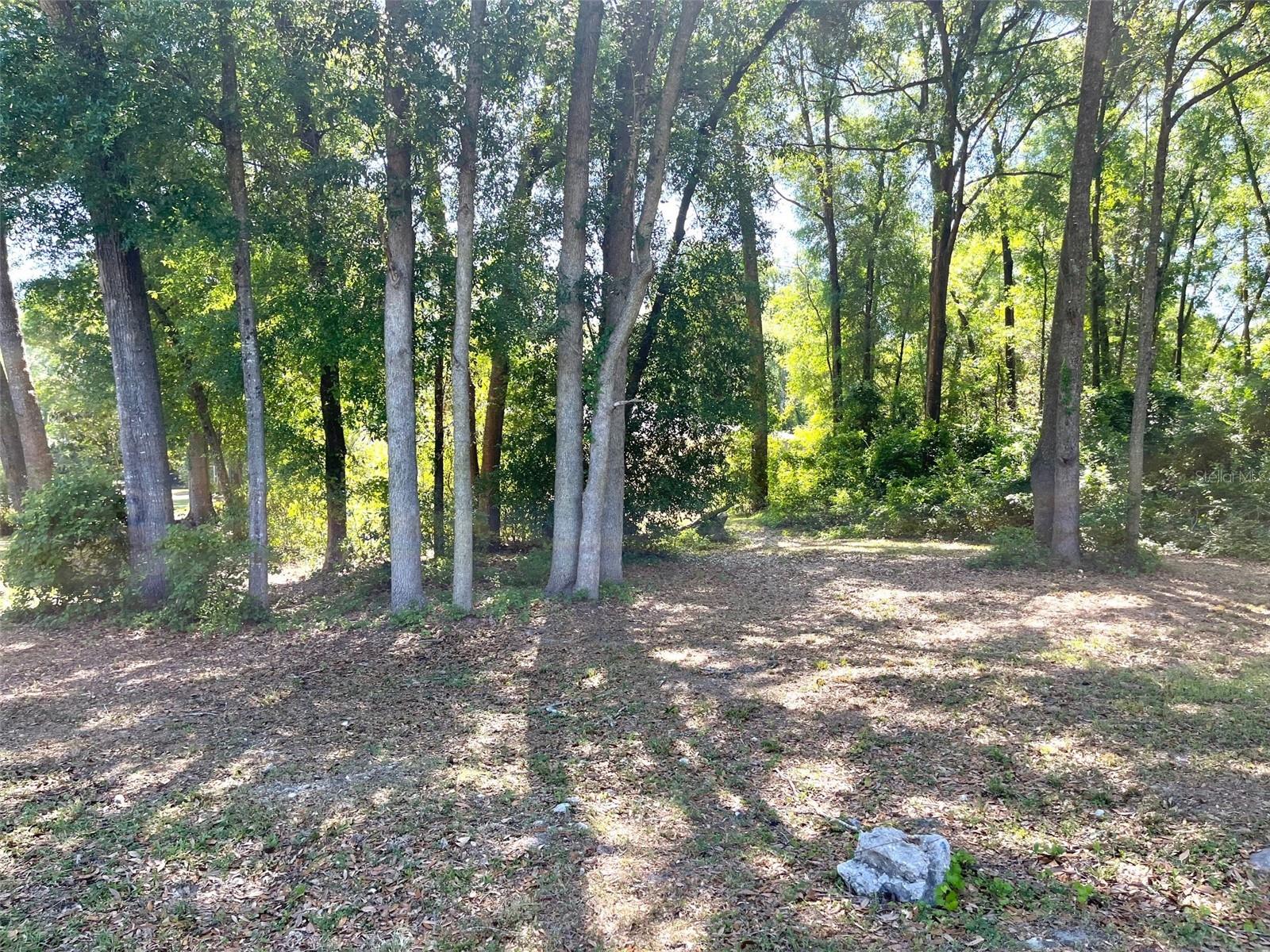 0000 NW 183RD LN, HIGH SPRINGS, FL, 32643