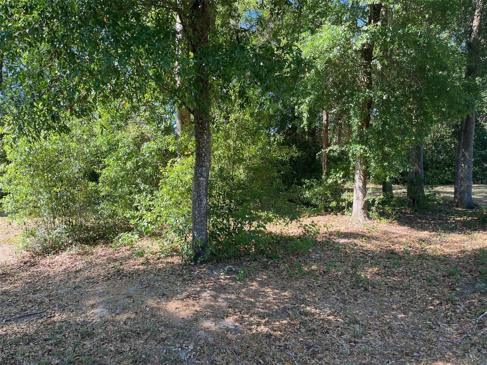 0000 NW 183RD LN, HIGH SPRINGS, FL, 32643