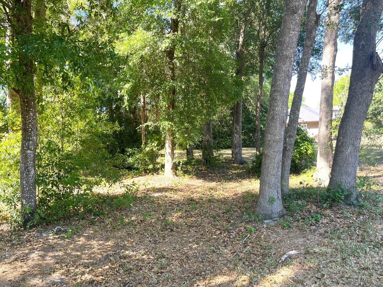 0000 NW 183RD LN, HIGH SPRINGS, FL, 32643