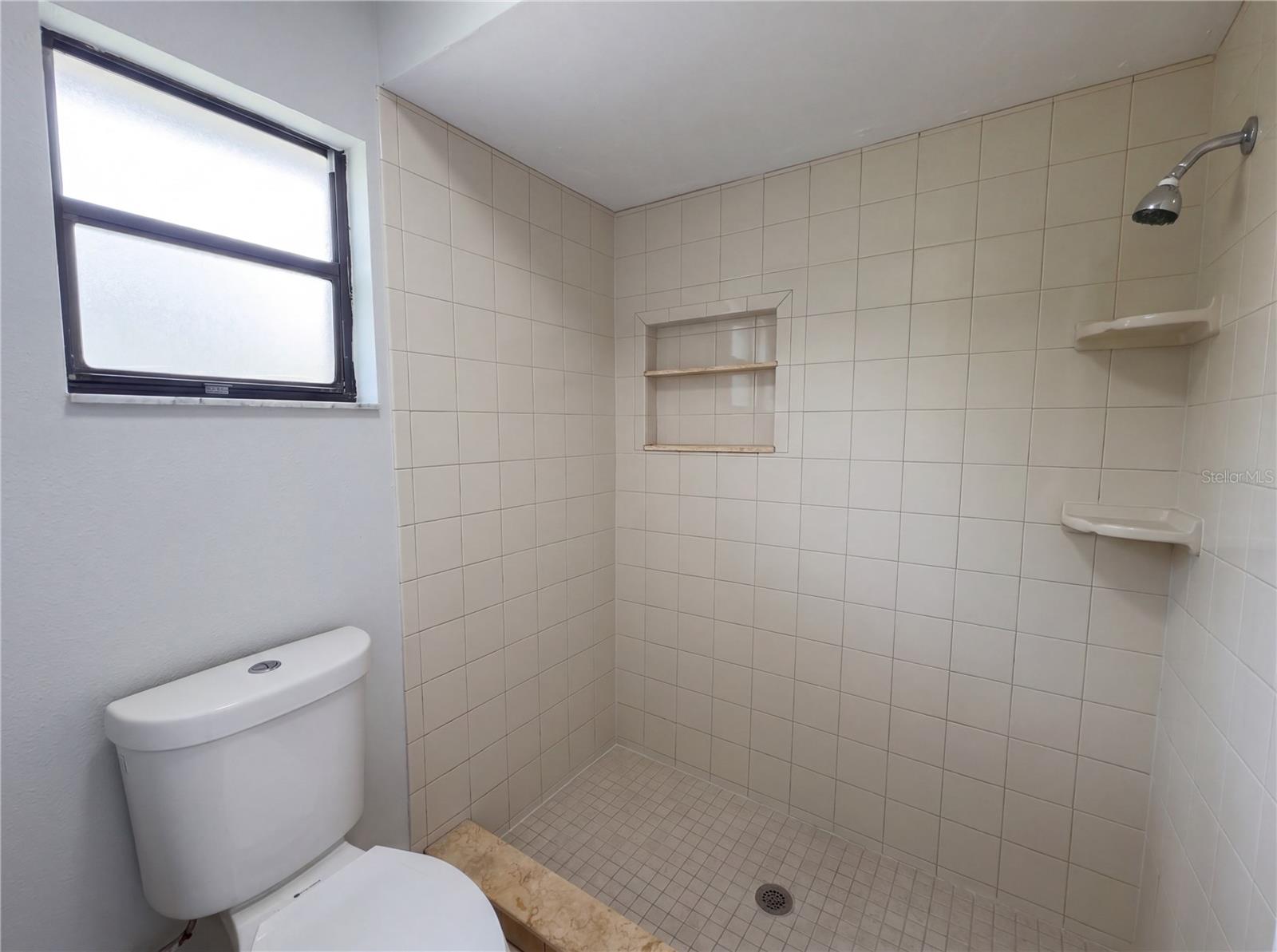 199 E CREST AVE, WINTER GARDEN, FL, 34787