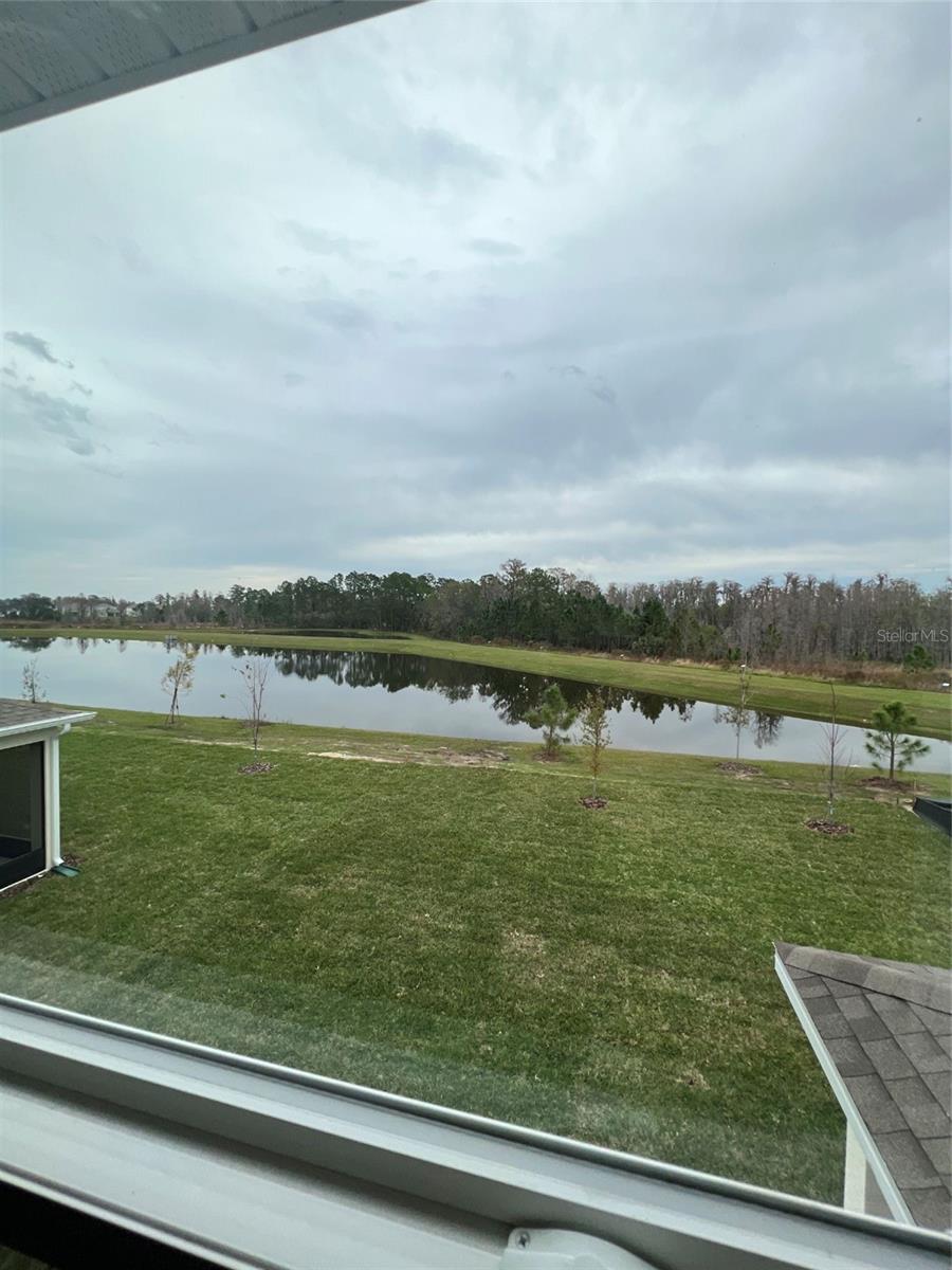 17575 SAW PALMETTO AVE, CLERMONT, FL, 34714