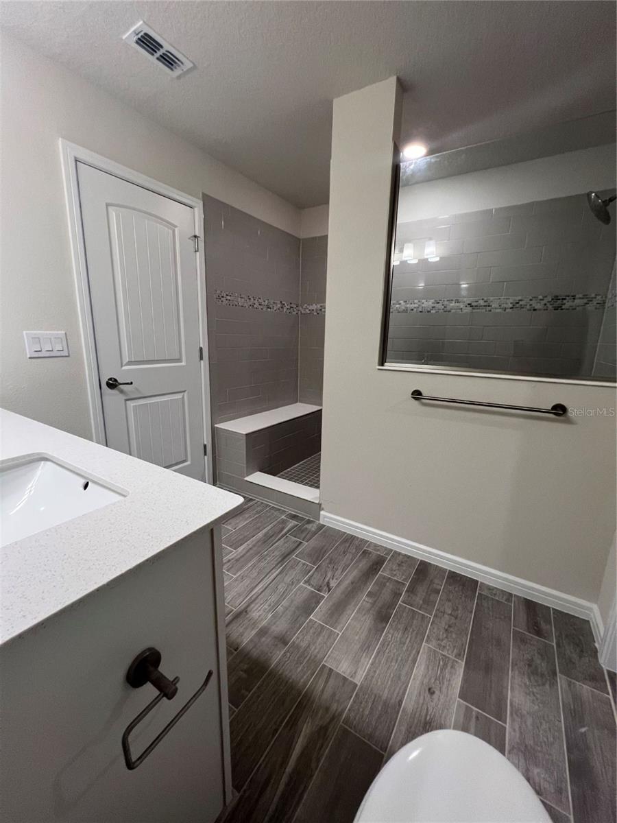 17575 SAW PALMETTO AVE, CLERMONT, FL, 34714