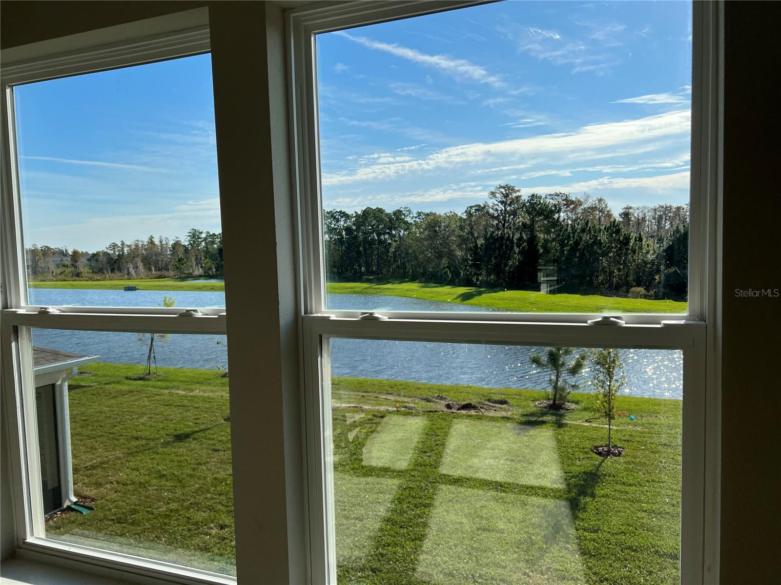 17575 SAW PALMETTO AVE, CLERMONT, FL, 34714