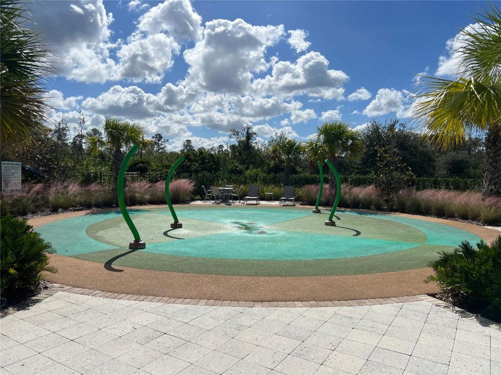 17575 SAW PALMETTO AVE, CLERMONT, FL, 34714