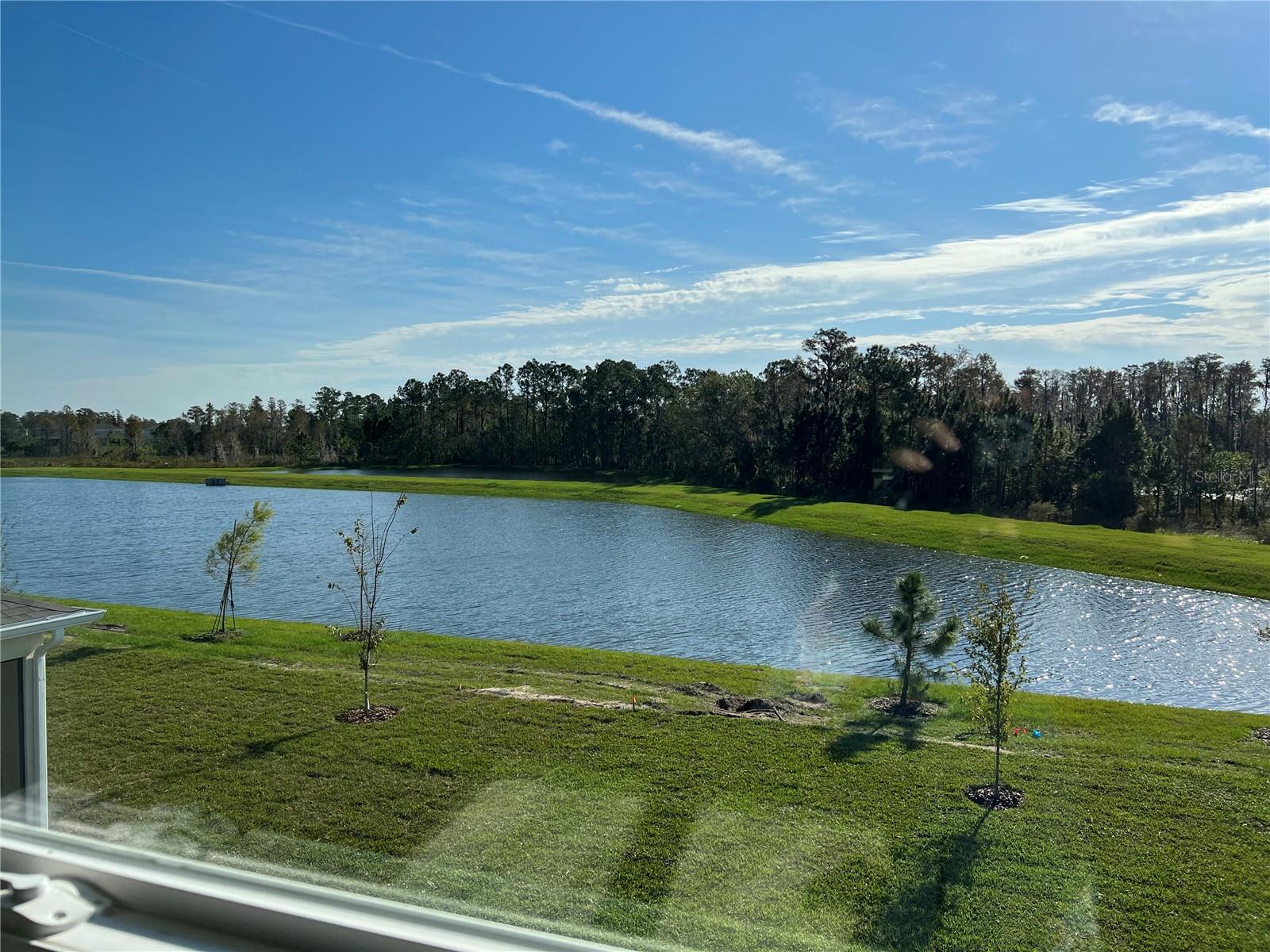 17575 SAW PALMETTO AVE, CLERMONT, FL, 34714