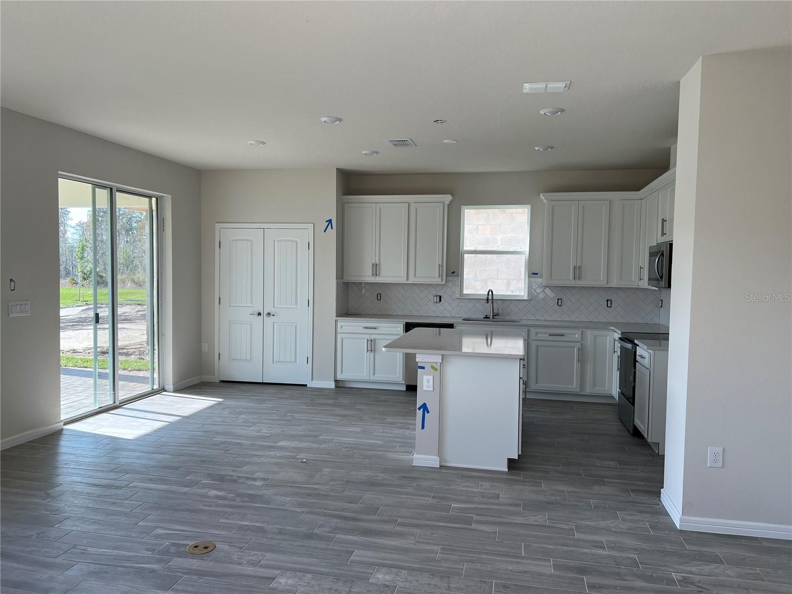 17575 SAW PALMETTO AVE, CLERMONT, FL, 34714