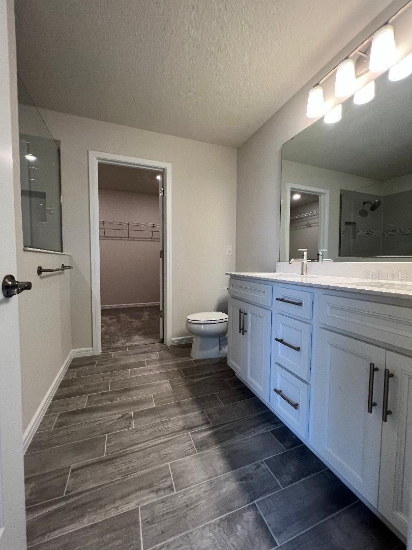 17575 SAW PALMETTO AVE, CLERMONT, FL, 34714