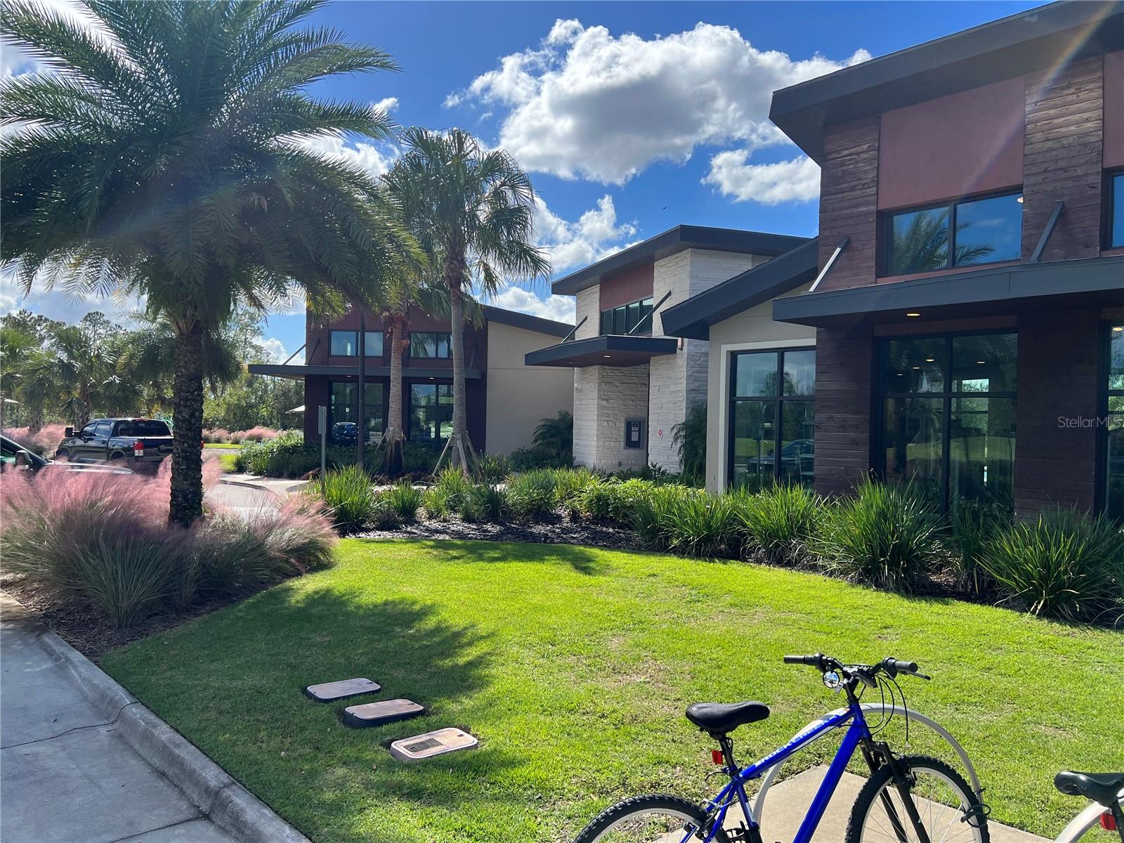 17575 SAW PALMETTO AVE, CLERMONT, FL, 34714