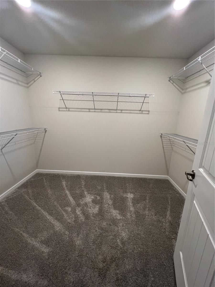 17575 SAW PALMETTO AVE, CLERMONT, FL, 34714