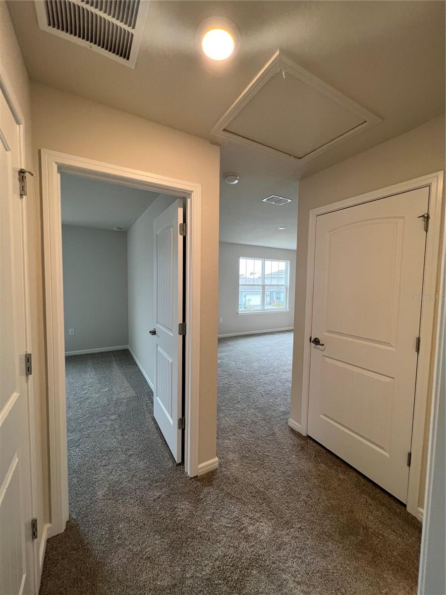 17575 SAW PALMETTO AVE, CLERMONT, FL, 34714