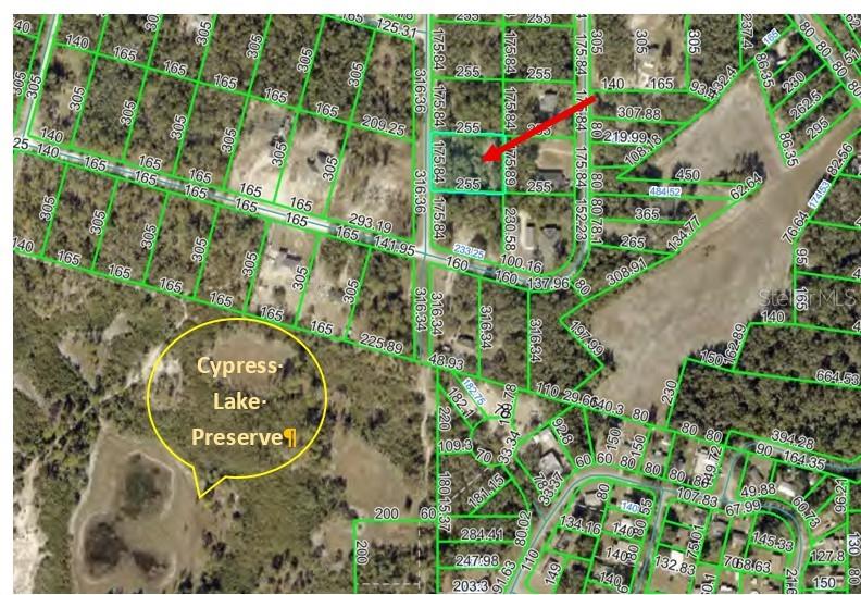 000 NORMAN ST, WEBSTER, FL, 33597