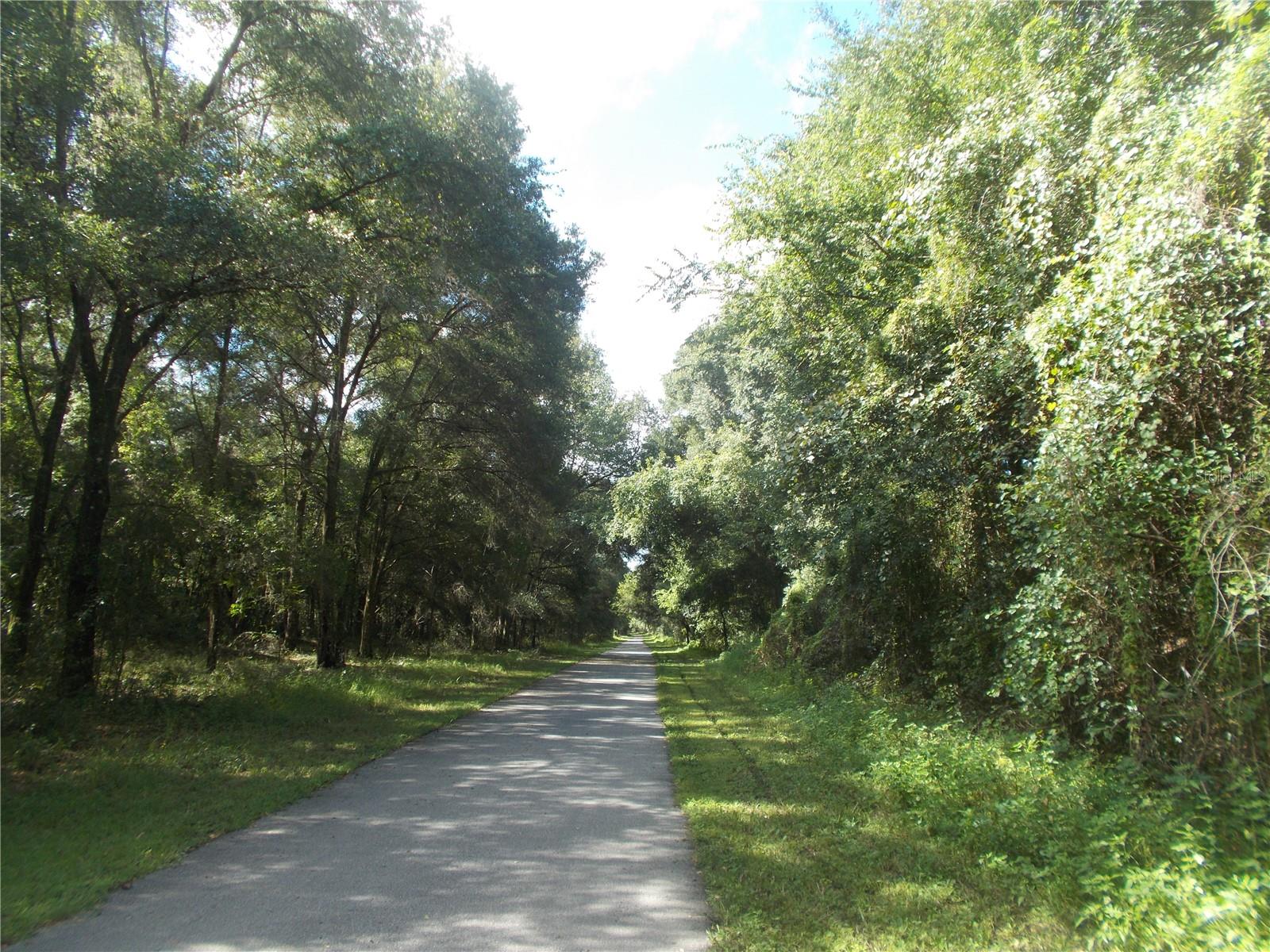 000 NORMAN ST, WEBSTER, FL, 33597