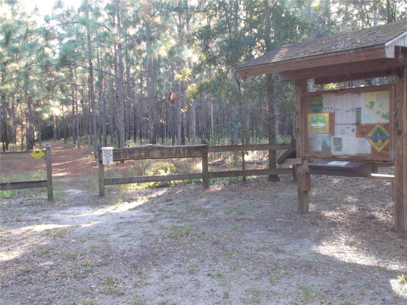 000 NORMAN ST, WEBSTER, FL, 33597