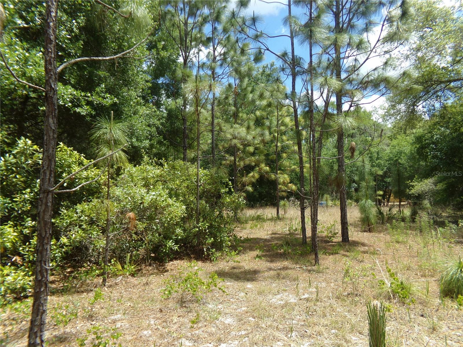 000 NORMAN ST, WEBSTER, FL, 33597