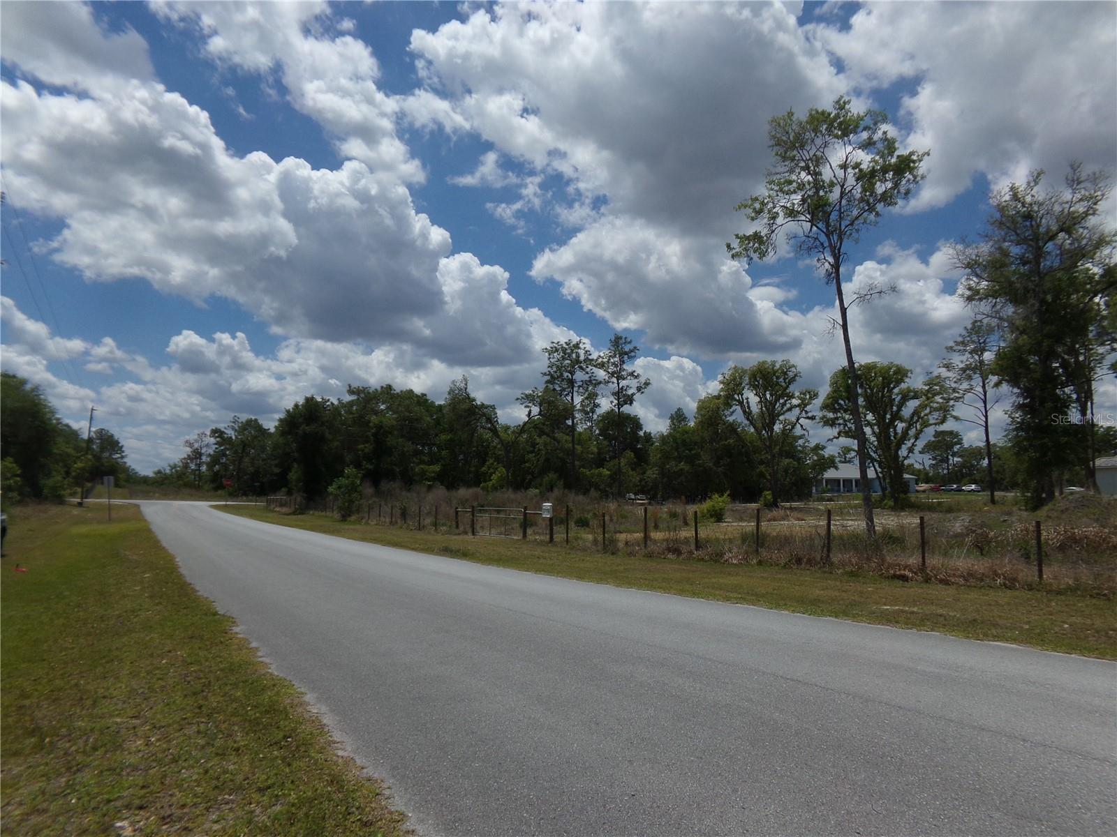 000 NORMAN ST, WEBSTER, FL, 33597