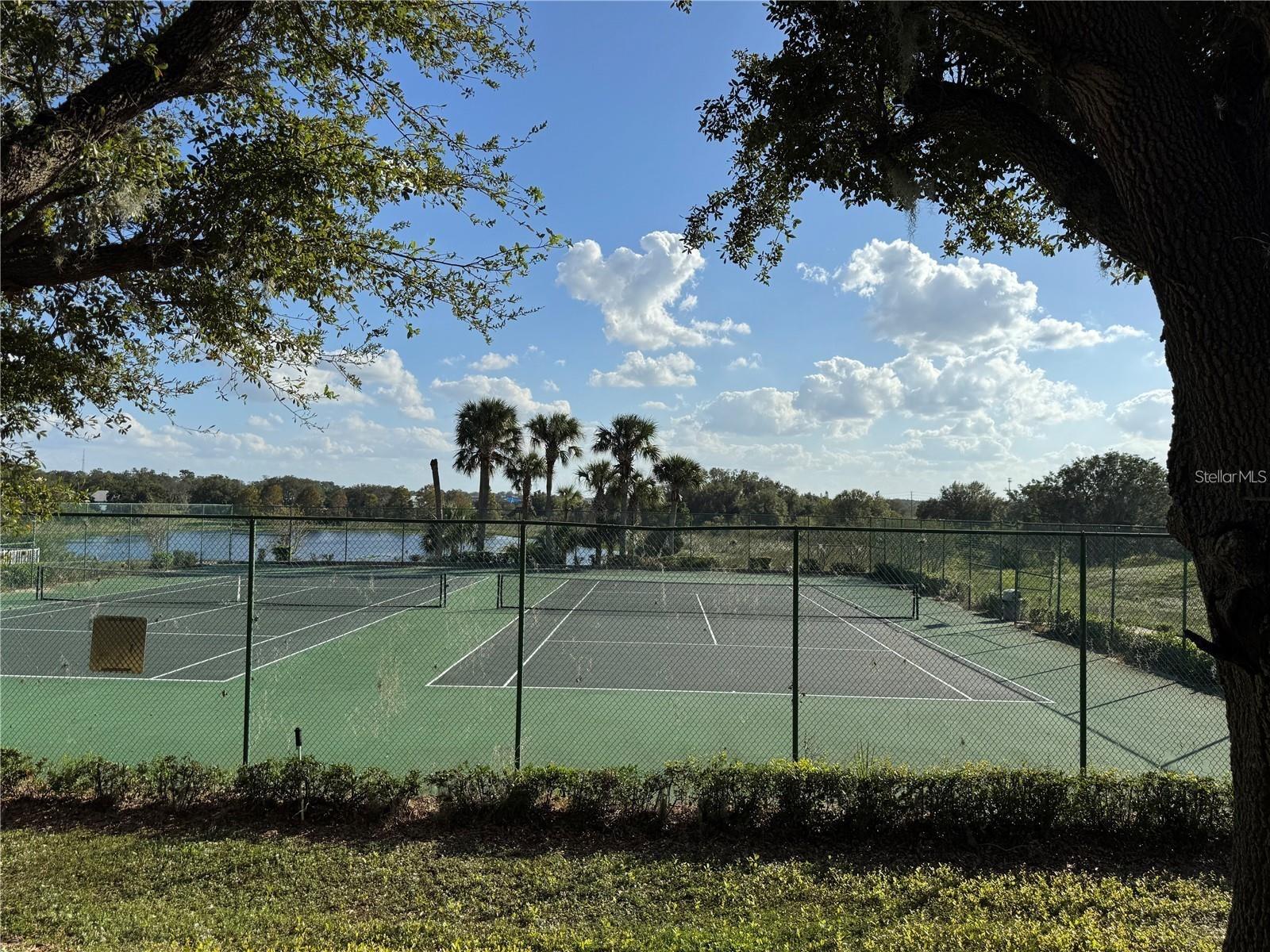 3011 HEMINGWAY CIR #3011, HAINES CITY, FL, 33844