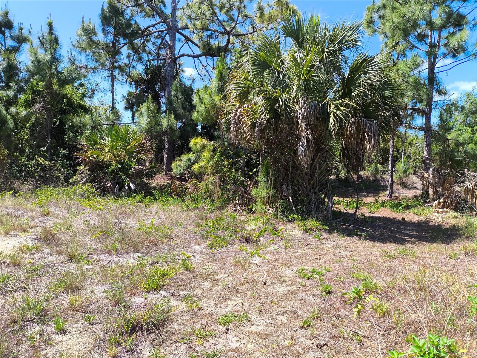 12289 CLARENDON AVE, PORT CHARLOTTE, FL, 33981