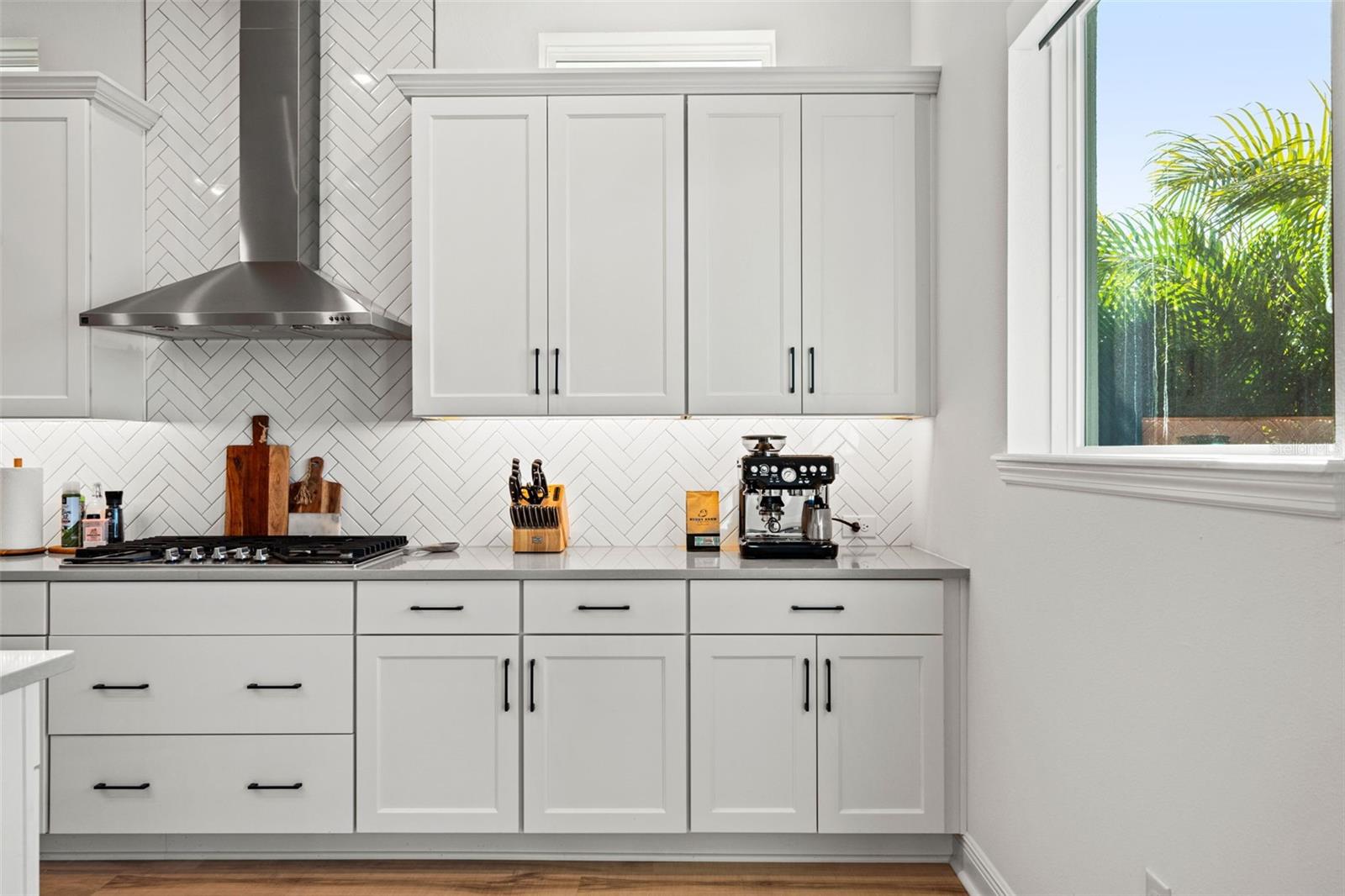 16396 FREHLEY RUN, LAND O LAKES, FL, 34638