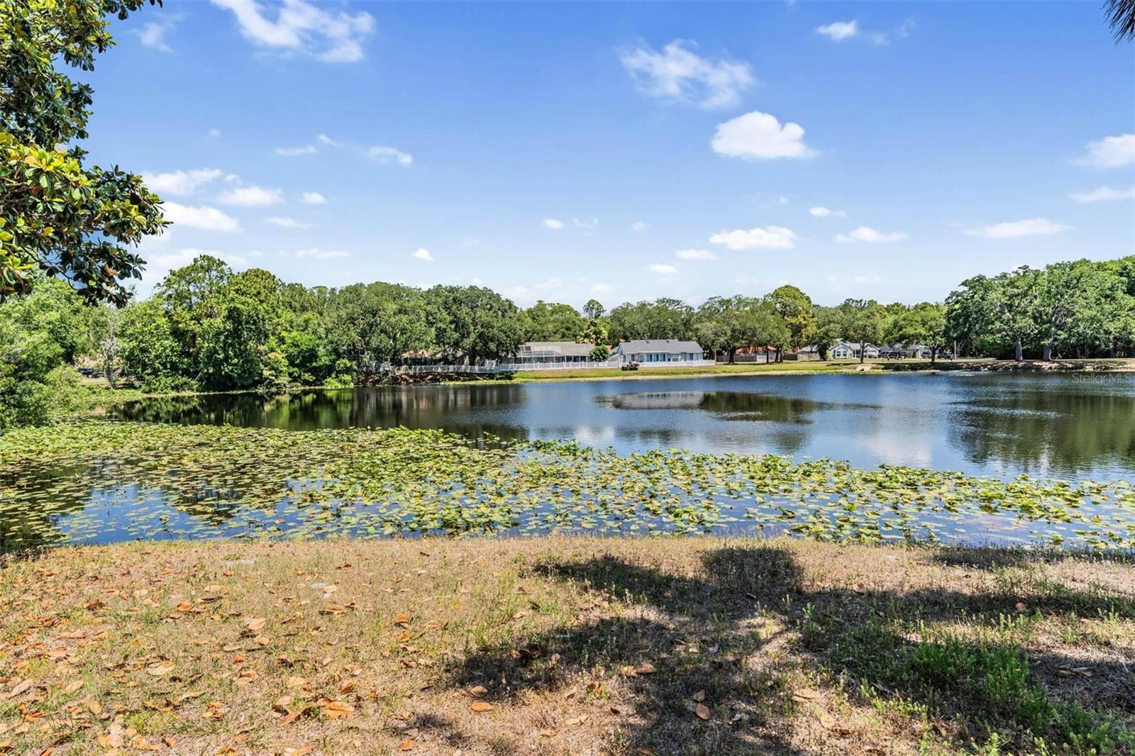 7329 OTTER CREEK DR, NEW PORT RICHEY, FL, 34655