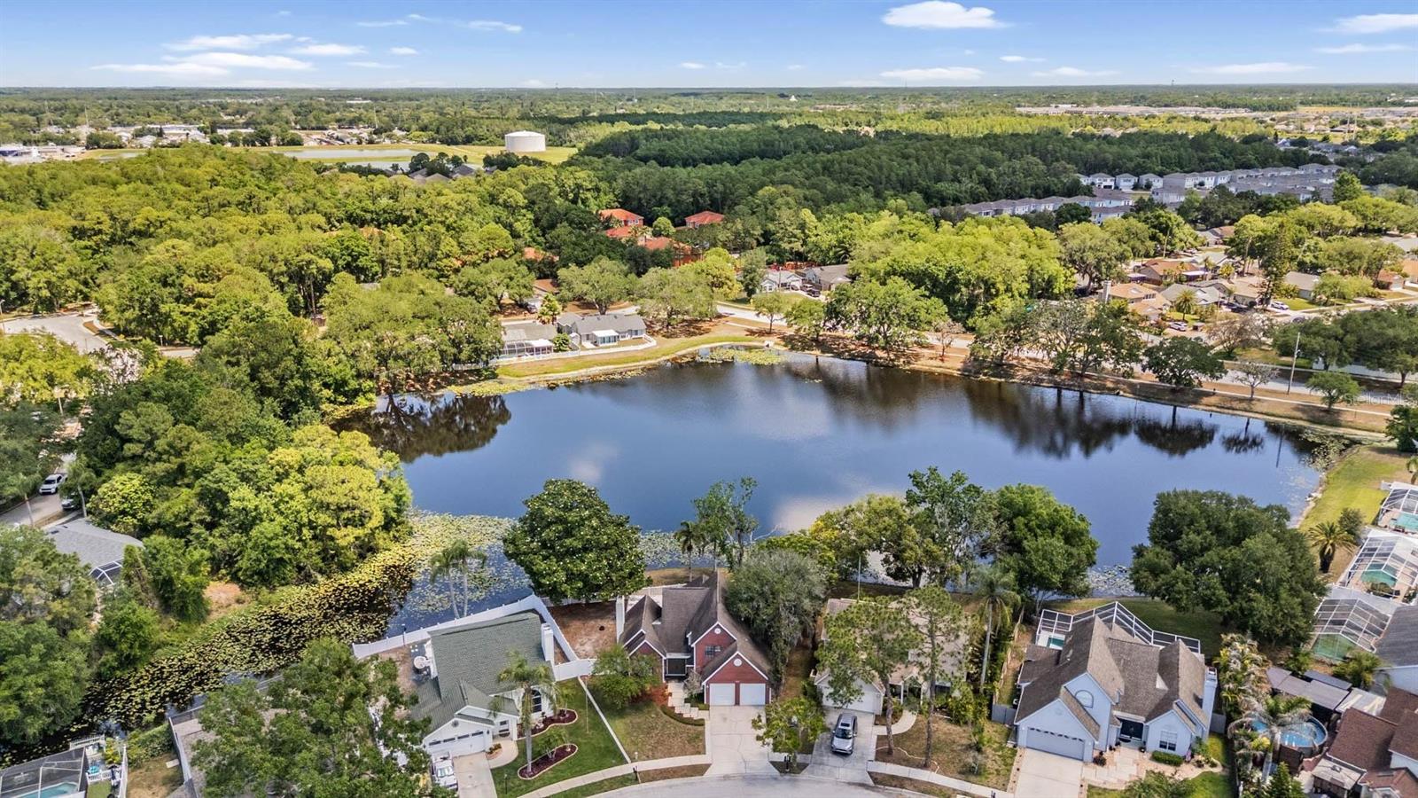 7329 OTTER CREEK DR, NEW PORT RICHEY, FL, 34655