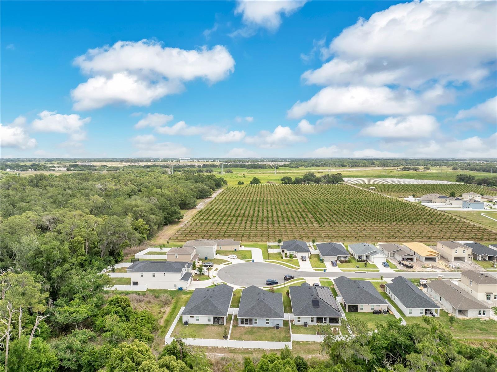 2096 GOLDEN BEAK DR, EAGLE LAKE, FL, 33839