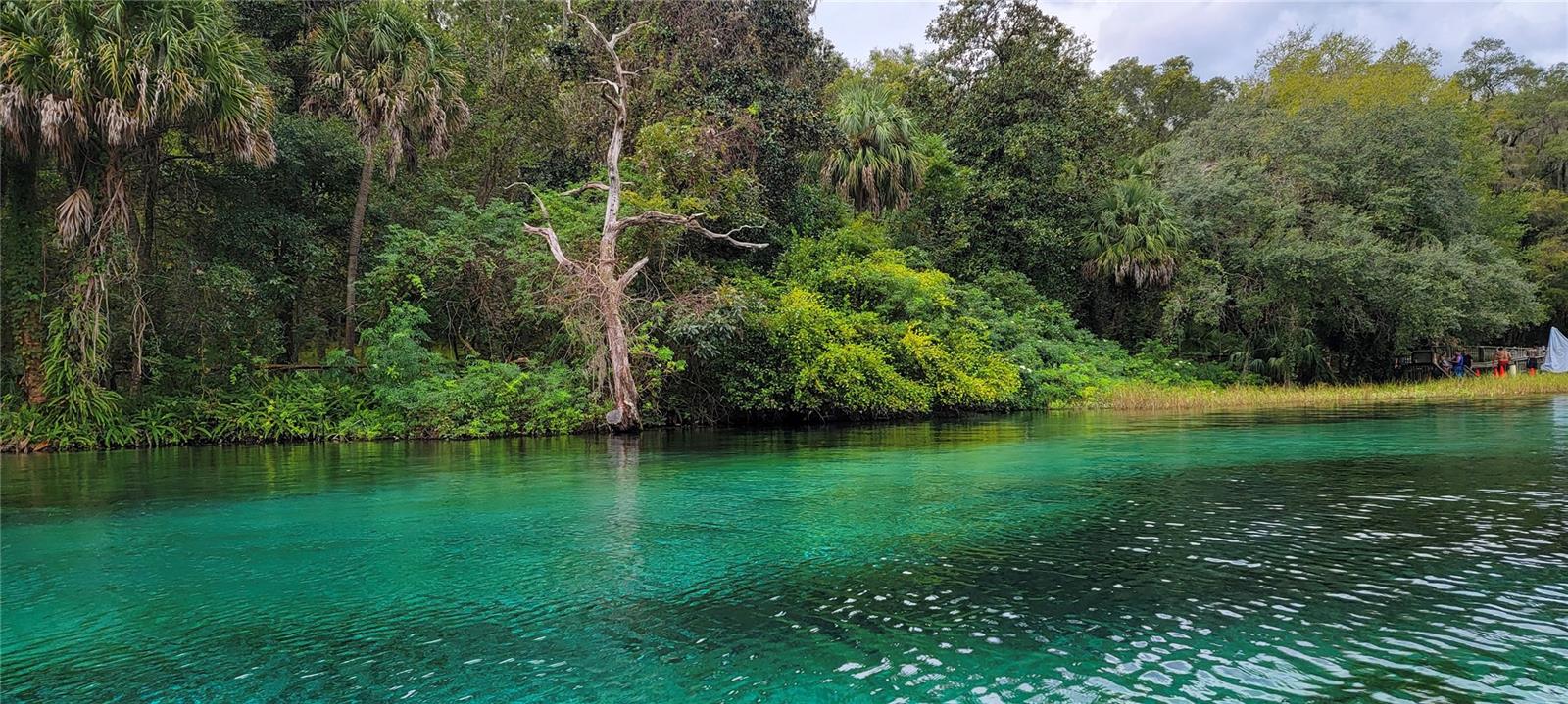 19660 SW 83RD PLACE RD #C16, DUNNELLON, FL, 34432