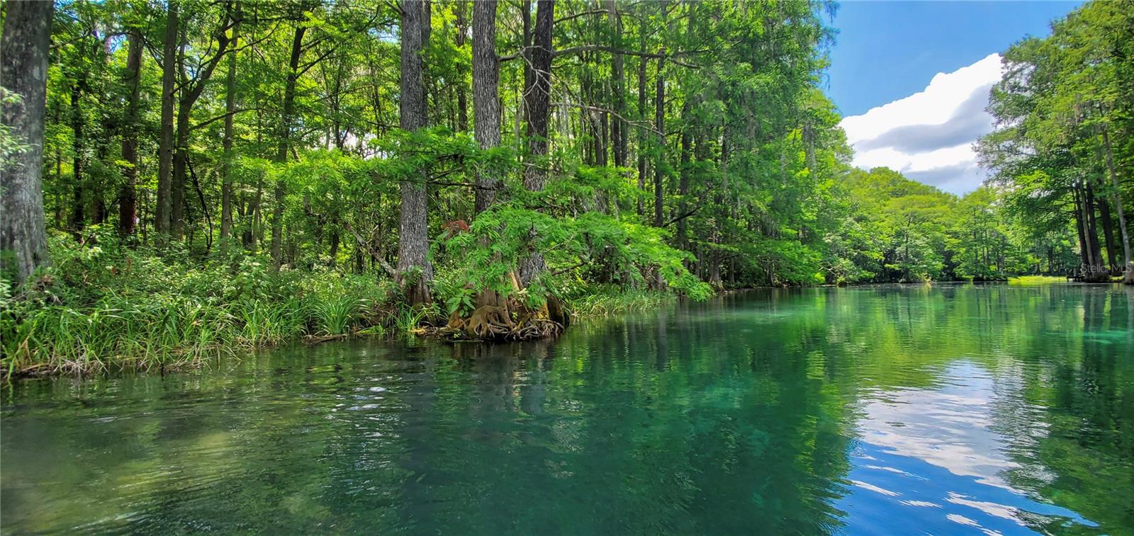 19660 SW 83RD PLACE RD #C16, DUNNELLON, FL, 34432