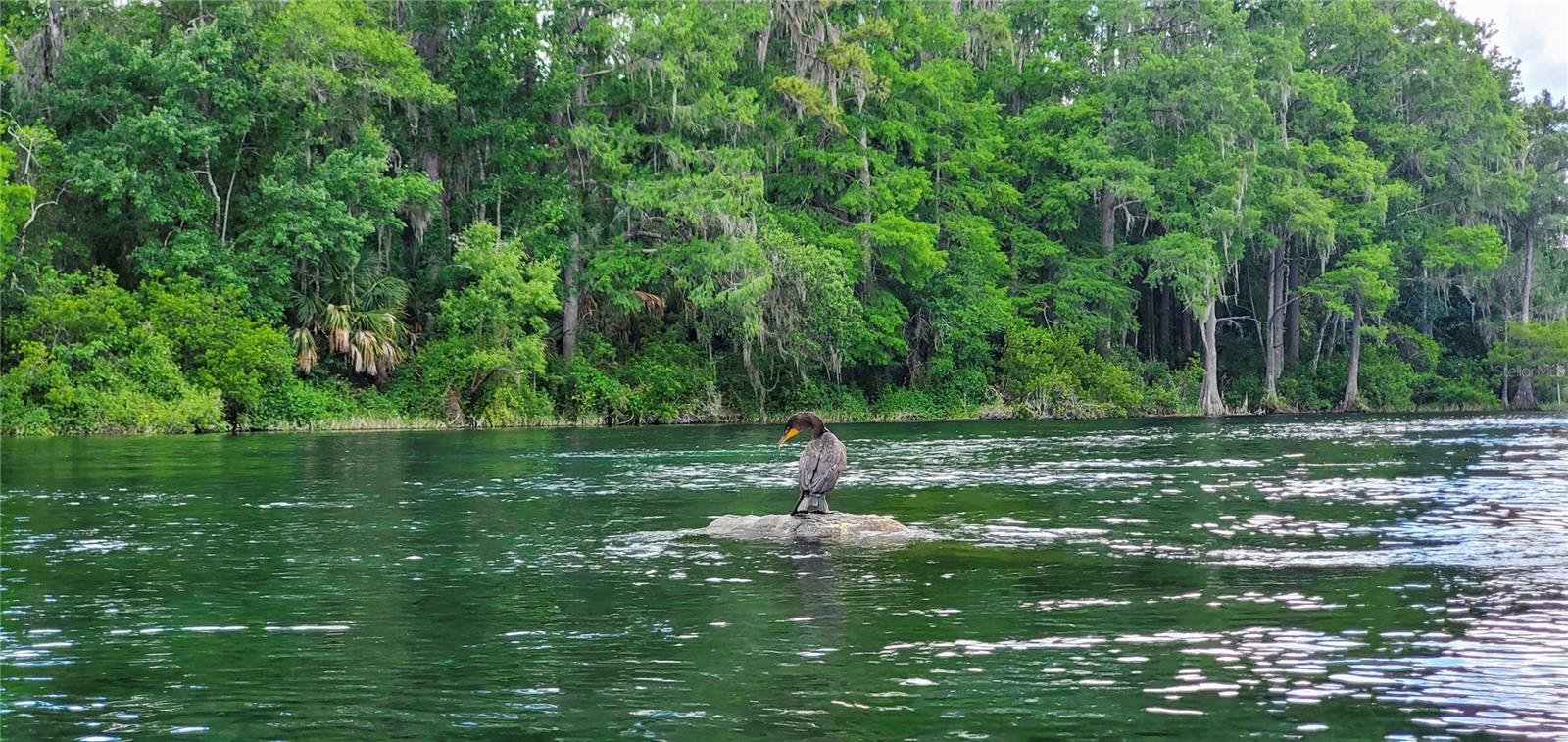 19660 SW 83RD PLACE RD #C16, DUNNELLON, FL, 34432