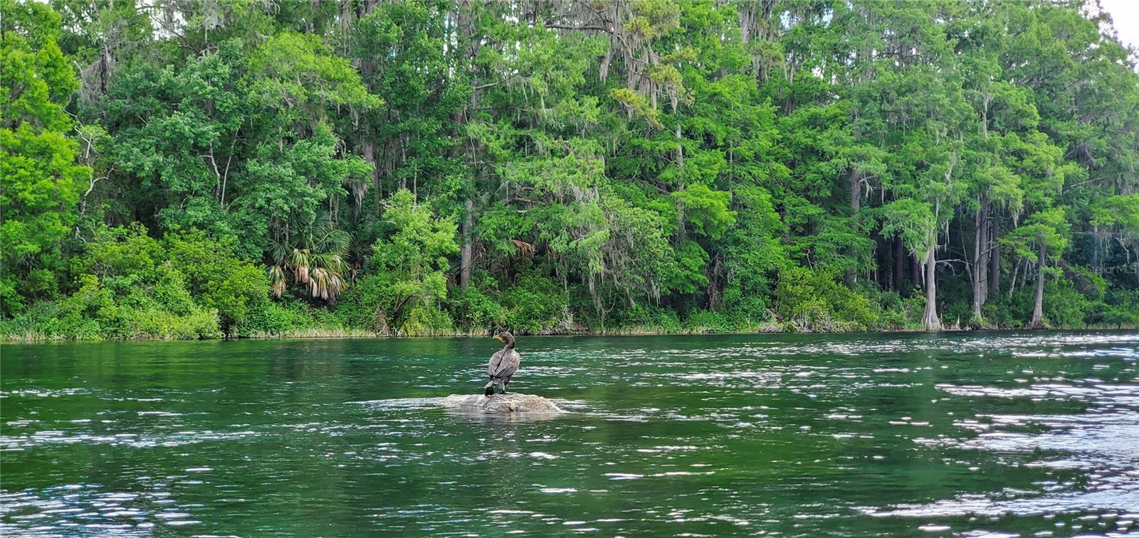 19660 SW 83RD PLACE RD #C16, DUNNELLON, FL, 34432