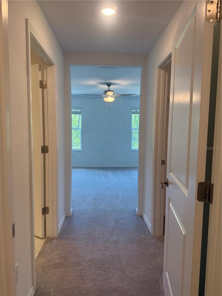 17586 NECTAR FLUME DR, LAND O LAKES, FL, 34638