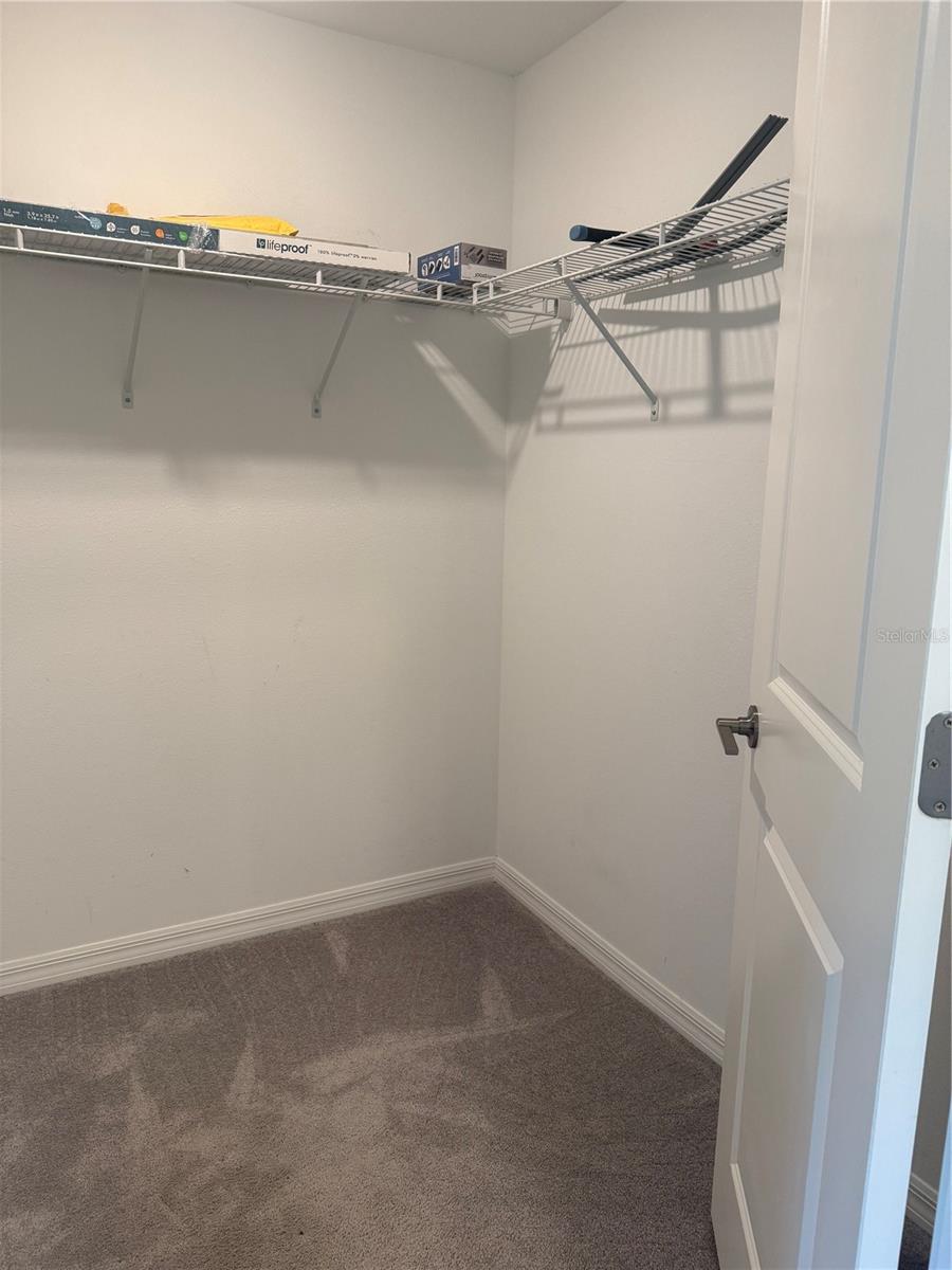 17586 NECTAR FLUME DR, LAND O LAKES, FL, 34638